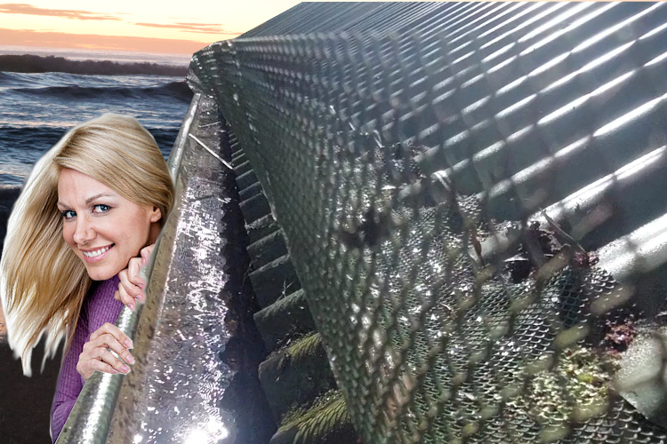 
Curious wollongong Woman Peeks at Gutter Guard-Covered Gutter