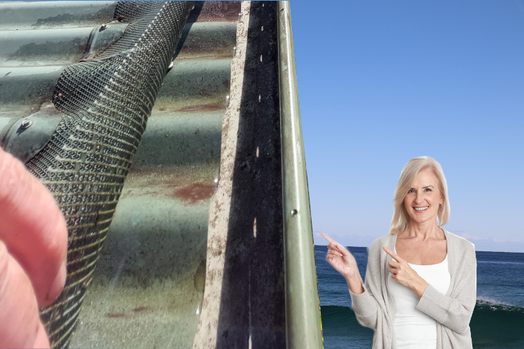 
Gutter Guard Triumph: wollongong Woman`s Delight in Cleaning Results